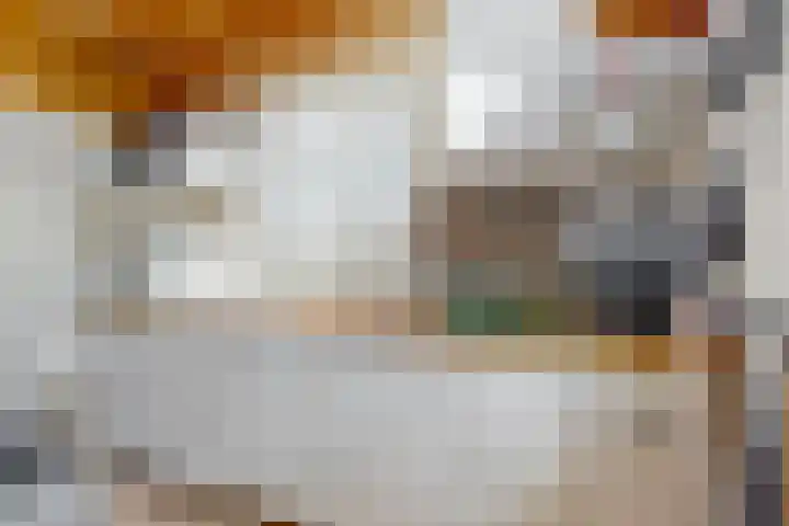 Luttik Cie 50 Heemskerk thumbnail 7
