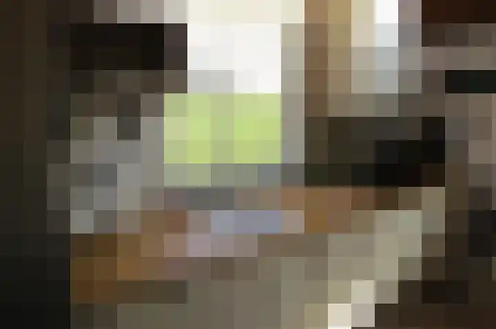 Luttik Cie 50 Heemskerk thumbnail 9