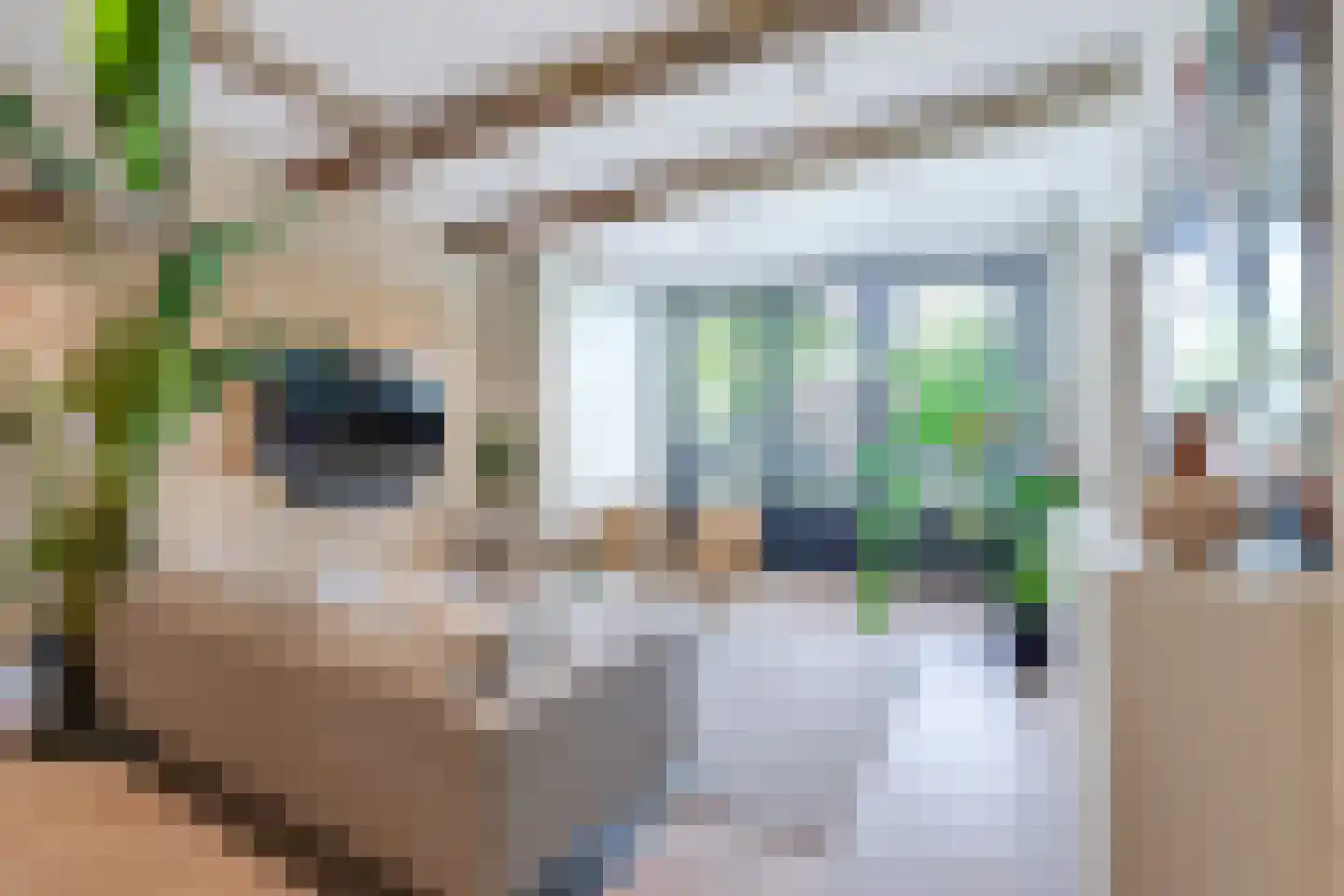 Luttik Oudorp 18 Alkmaar thumbnail 11