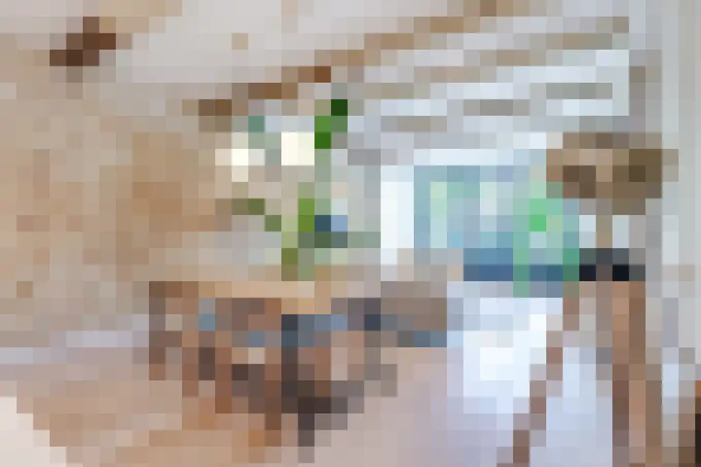 Luttik Oudorp 18 Alkmaar thumbnail 12