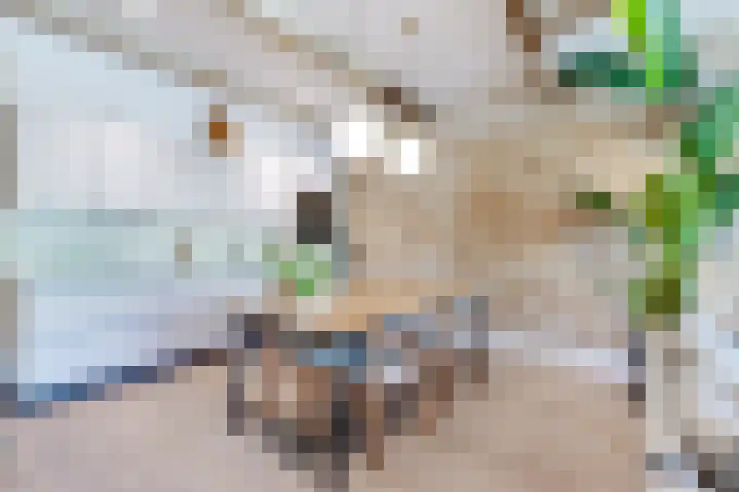 Luttik Oudorp 18 Alkmaar thumbnail 12