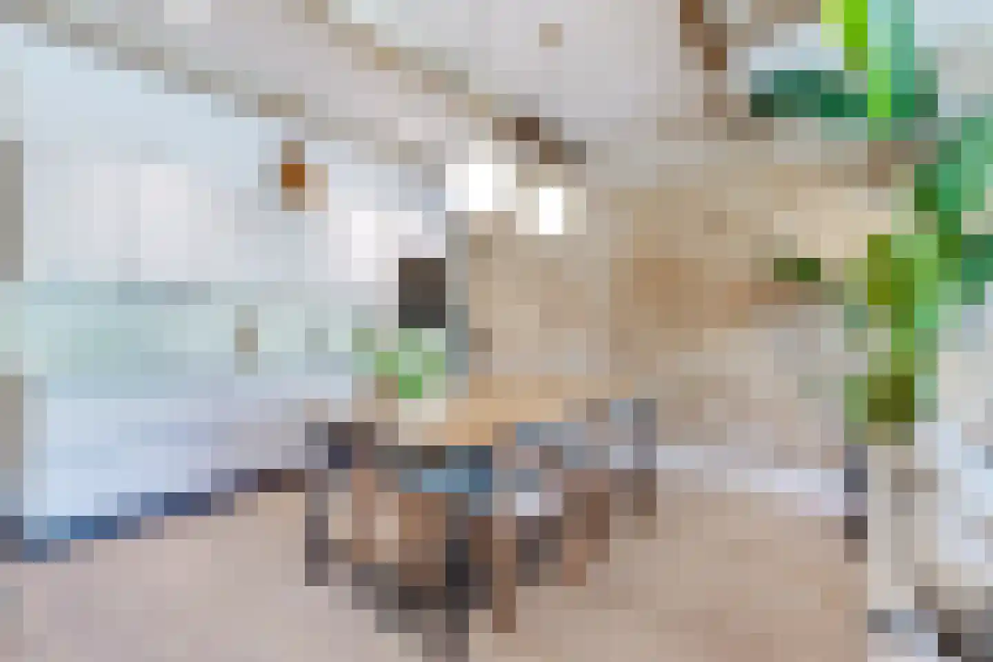 Luttik Oudorp 18 Alkmaar thumbnail 13