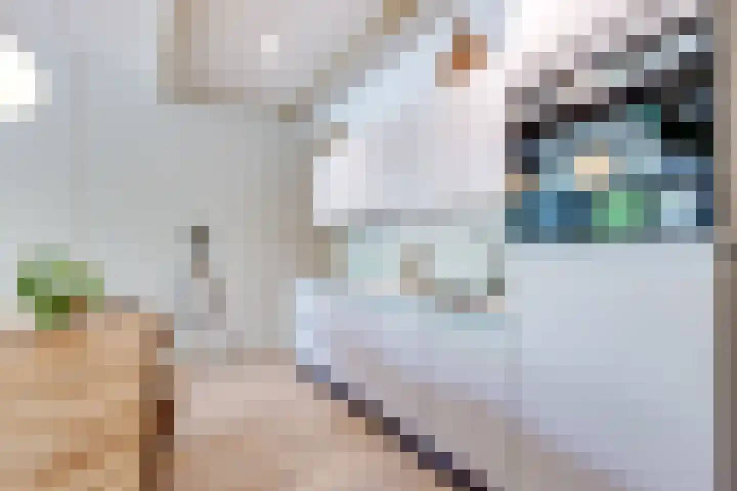 Luttik Oudorp 18 Alkmaar thumbnail 15
