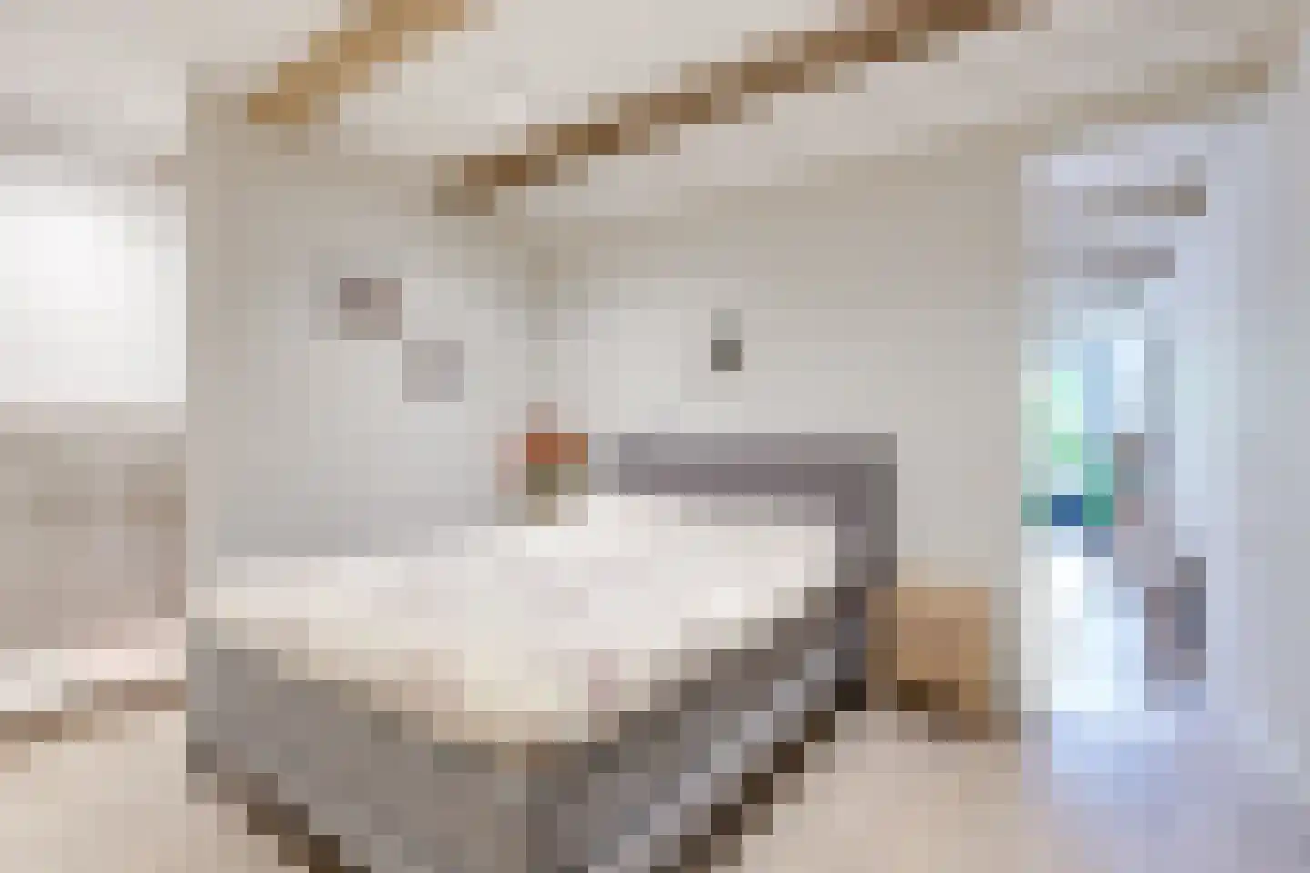 Luttik Oudorp 18 Alkmaar thumbnail 18