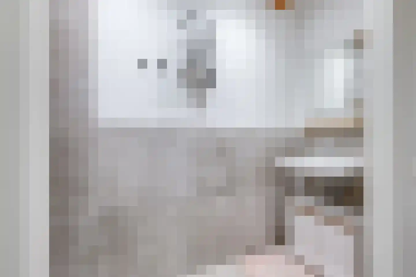 Luttik Oudorp 18 Alkmaar thumbnail 22