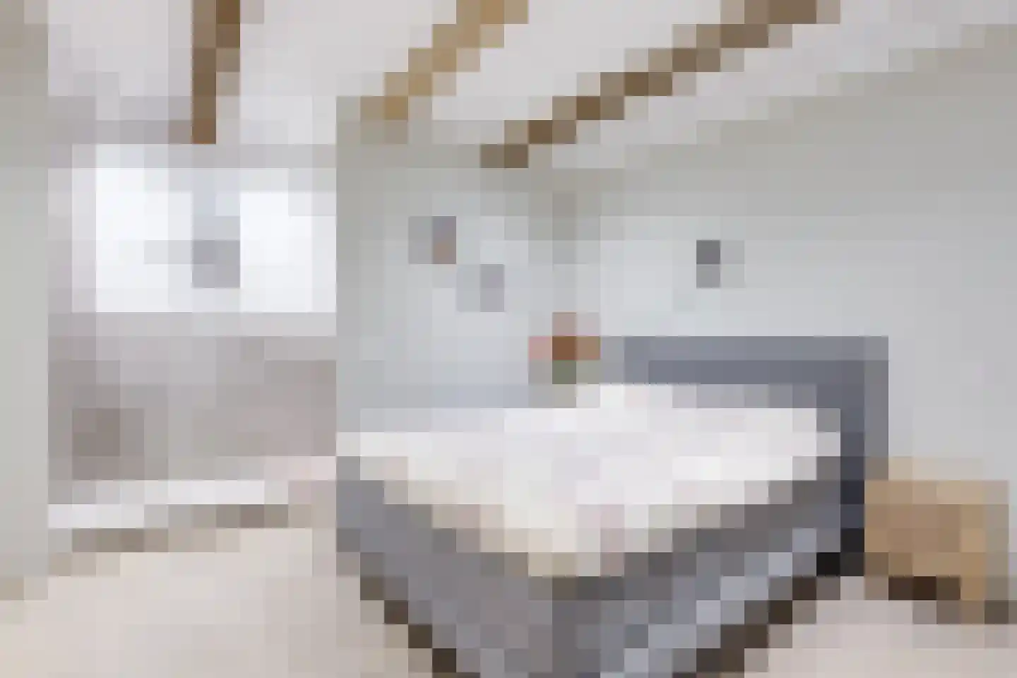 Luttik Oudorp 18 Alkmaar thumbnail 4
