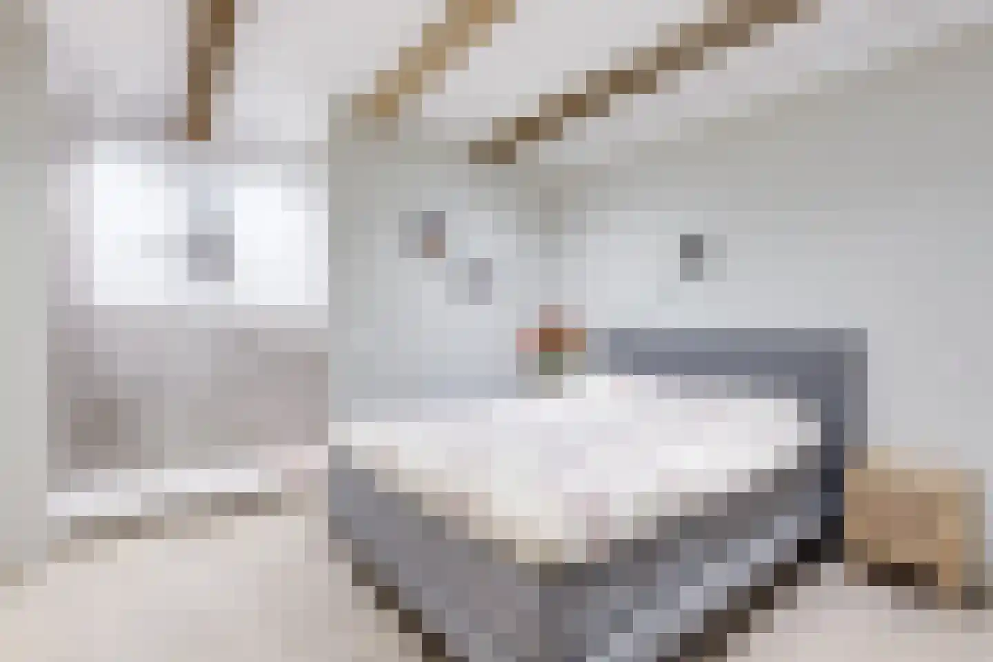 Luttik Oudorp 18 Alkmaar thumbnail 4