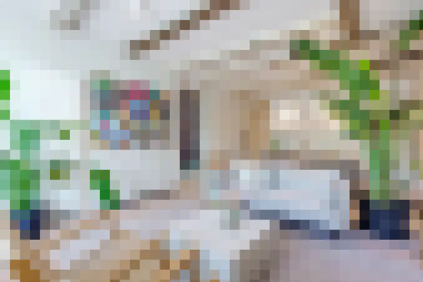 Luttik Oudorp 18 Alkmaar thumbnail 9
