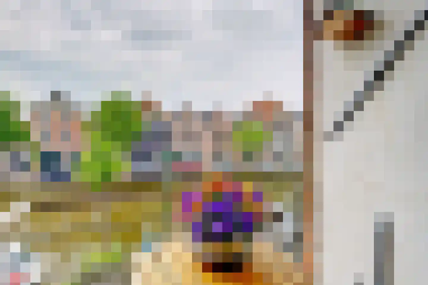 Luttik Oudorp 20 Alkmaar thumbnail 15