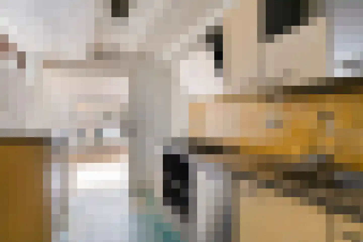 Luttik Oudorp 20 Alkmaar thumbnail 21