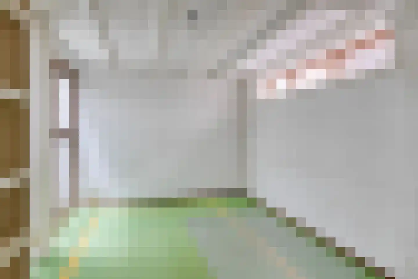 Luttik Oudorp 20 Alkmaar thumbnail 24