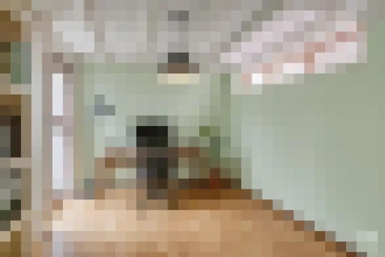Luttik Oudorp 20 Alkmaar thumbnail 25