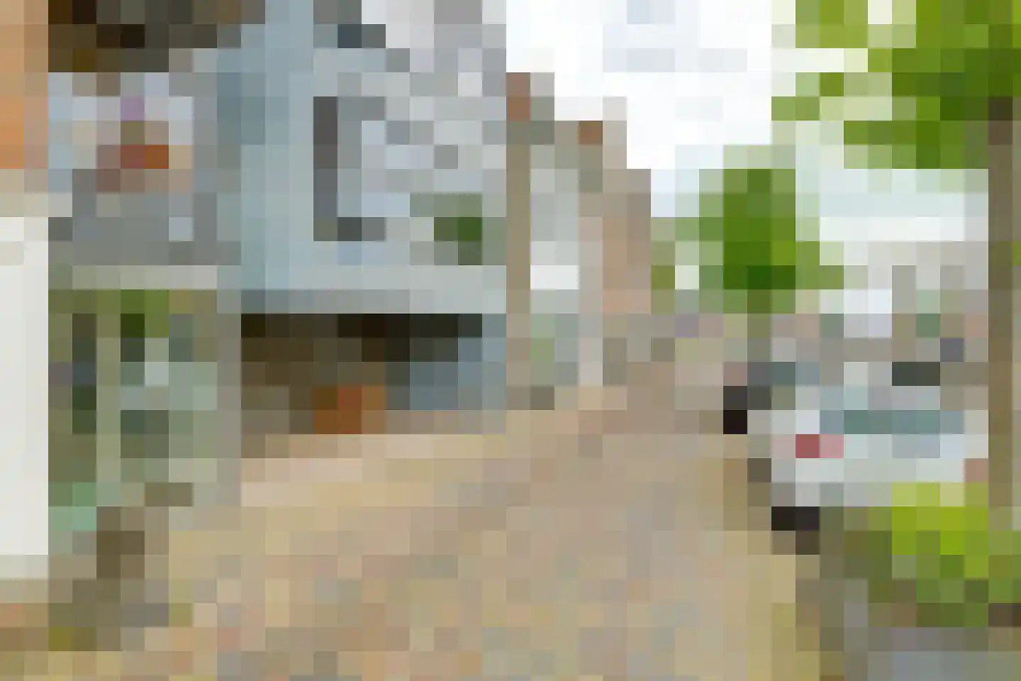 Luttik Oudorp 20 Alkmaar thumbnail 45