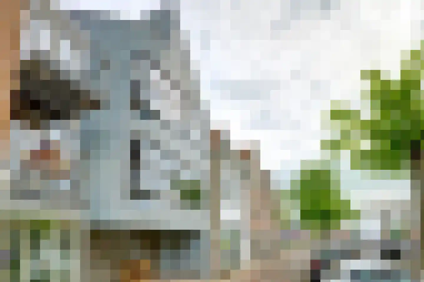 Luttik Oudorp 20 Alkmaar thumbnail 5