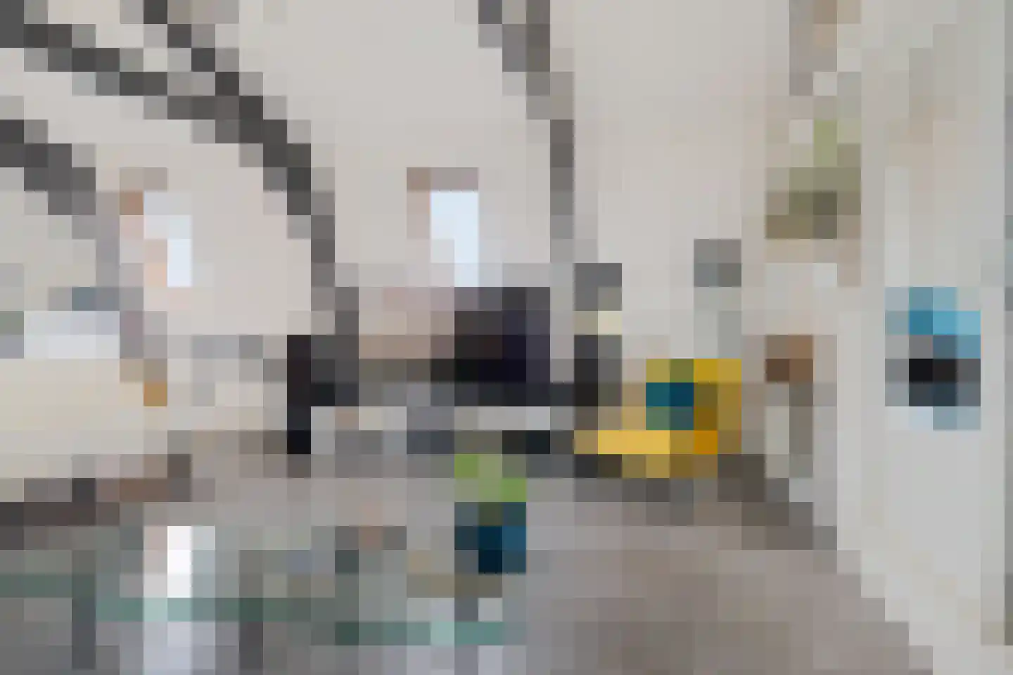 Luttik Oudorp 39 Alkmaar thumbnail 14