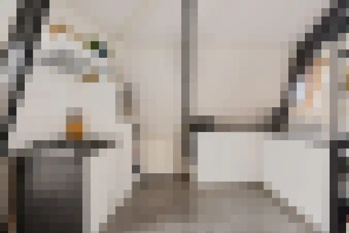 Luttik Oudorp 39 Alkmaar thumbnail 18