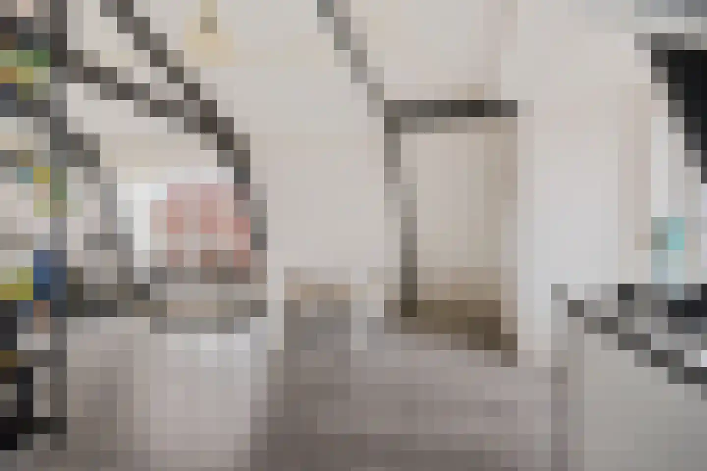 Luttik Oudorp 39 Alkmaar thumbnail 20