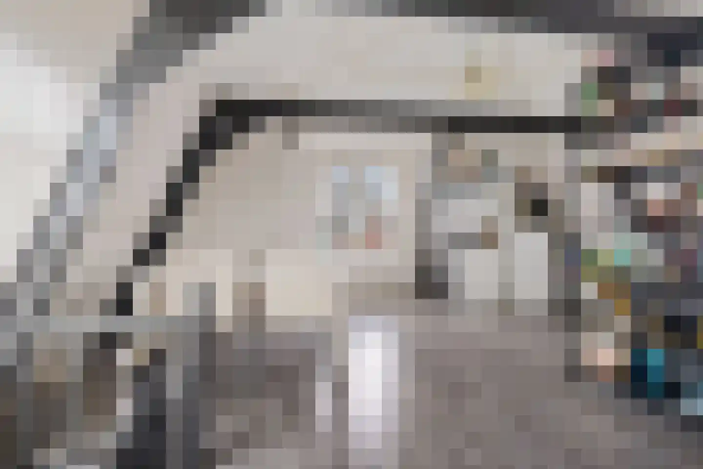 Luttik Oudorp 39 Alkmaar thumbnail 21