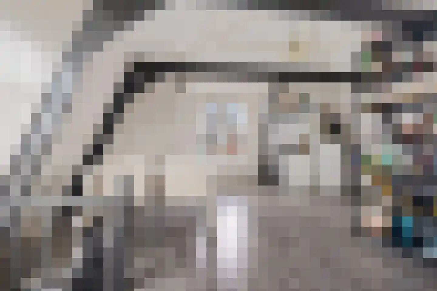 Luttik Oudorp 39 Alkmaar thumbnail 22