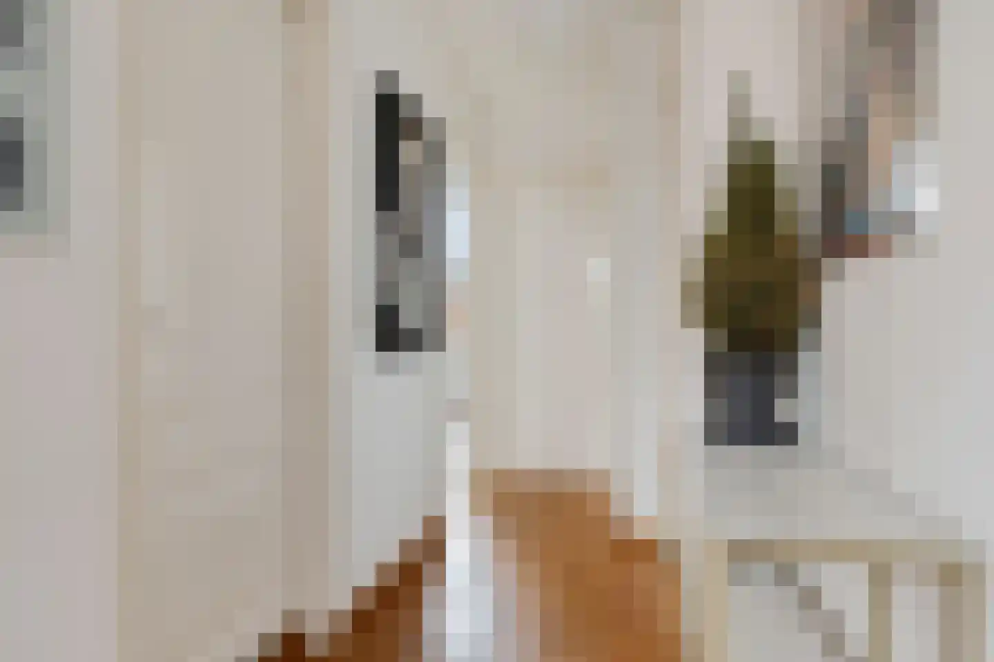 Luttik Oudorp 39 Alkmaar thumbnail 40