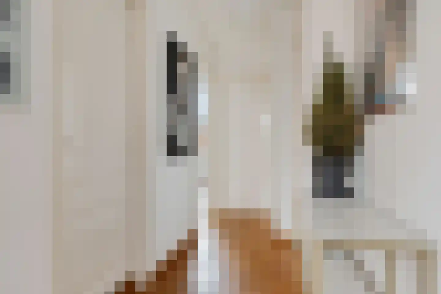 Luttik Oudorp 39 Alkmaar thumbnail 42