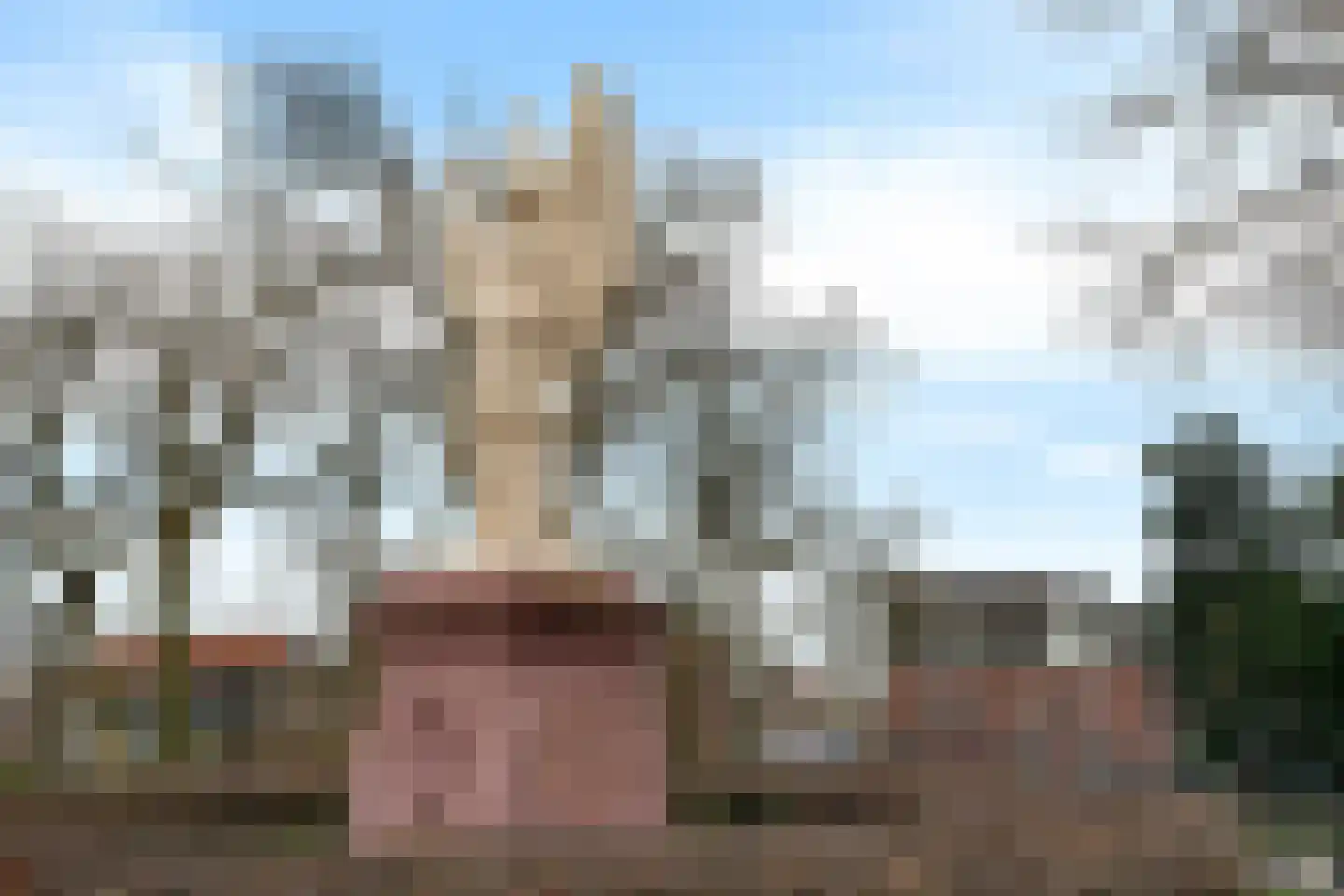 Luttik Oudorp 39 Alkmaar thumbnail 48