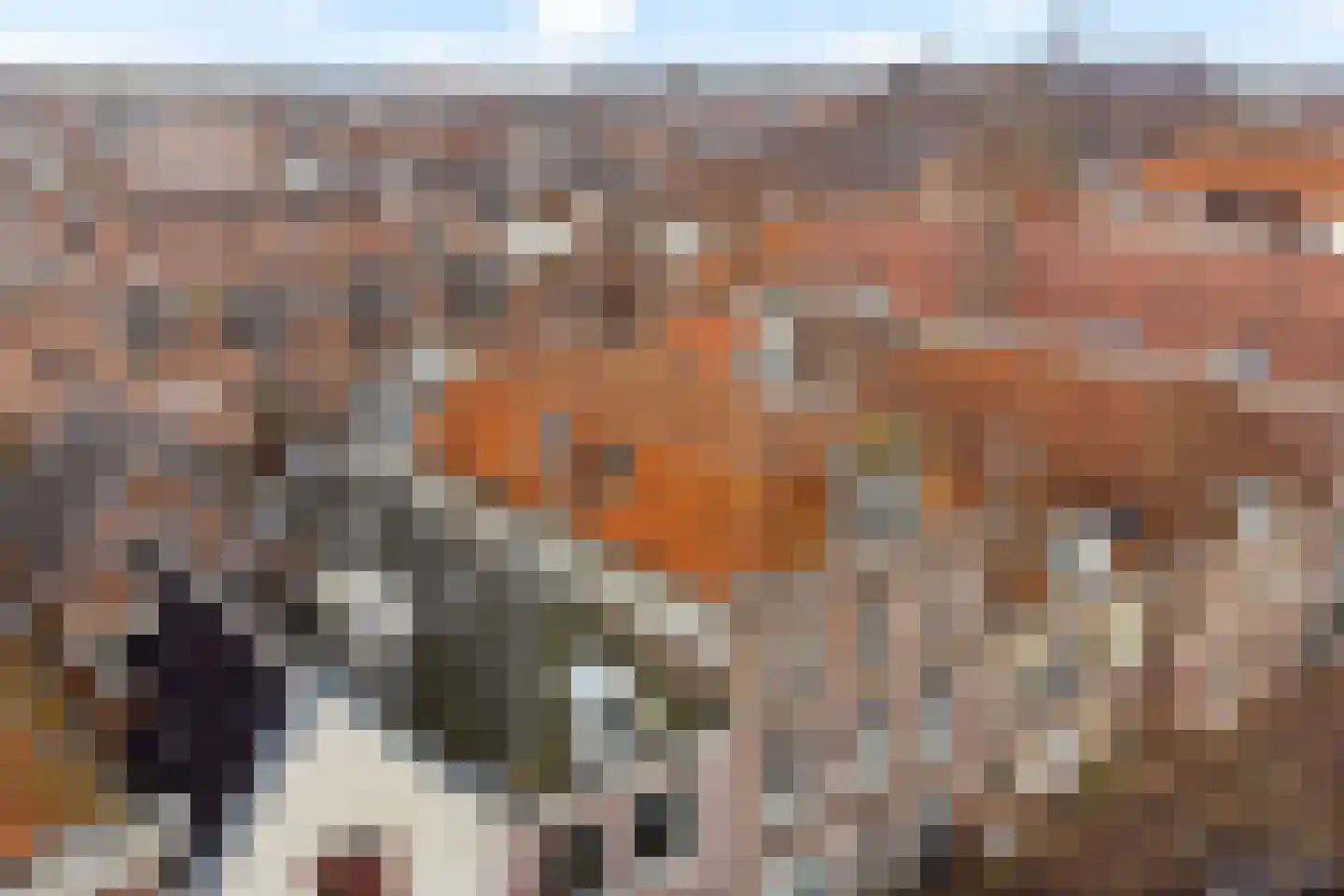 Luttik Oudorp 39 Alkmaar thumbnail 49