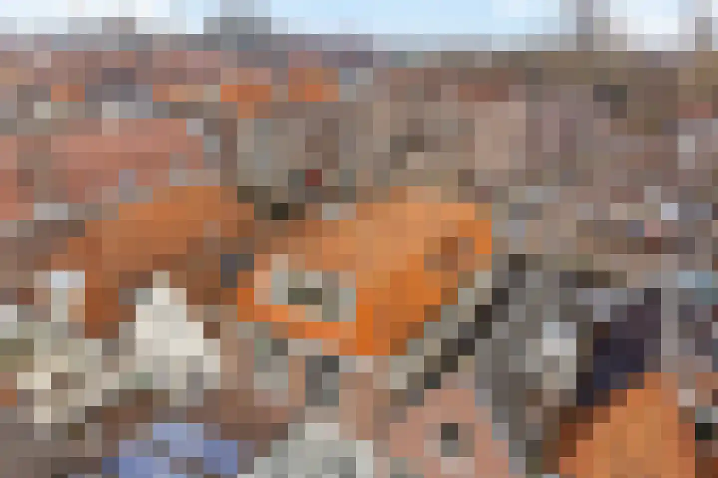 Luttik Oudorp 39 Alkmaar thumbnail 7
