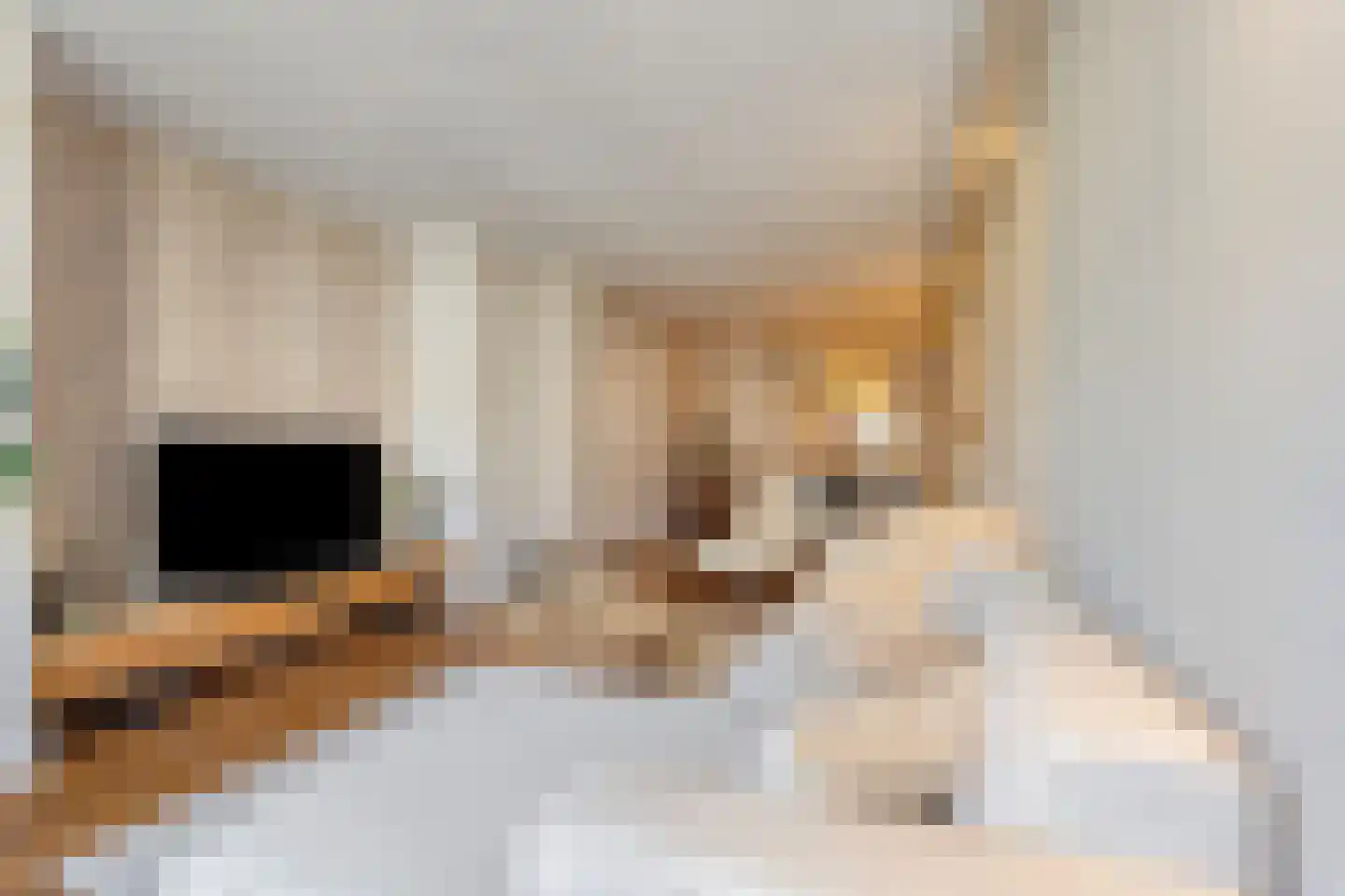 Luttik Oudorp 49 A Alkmaar thumbnail 10