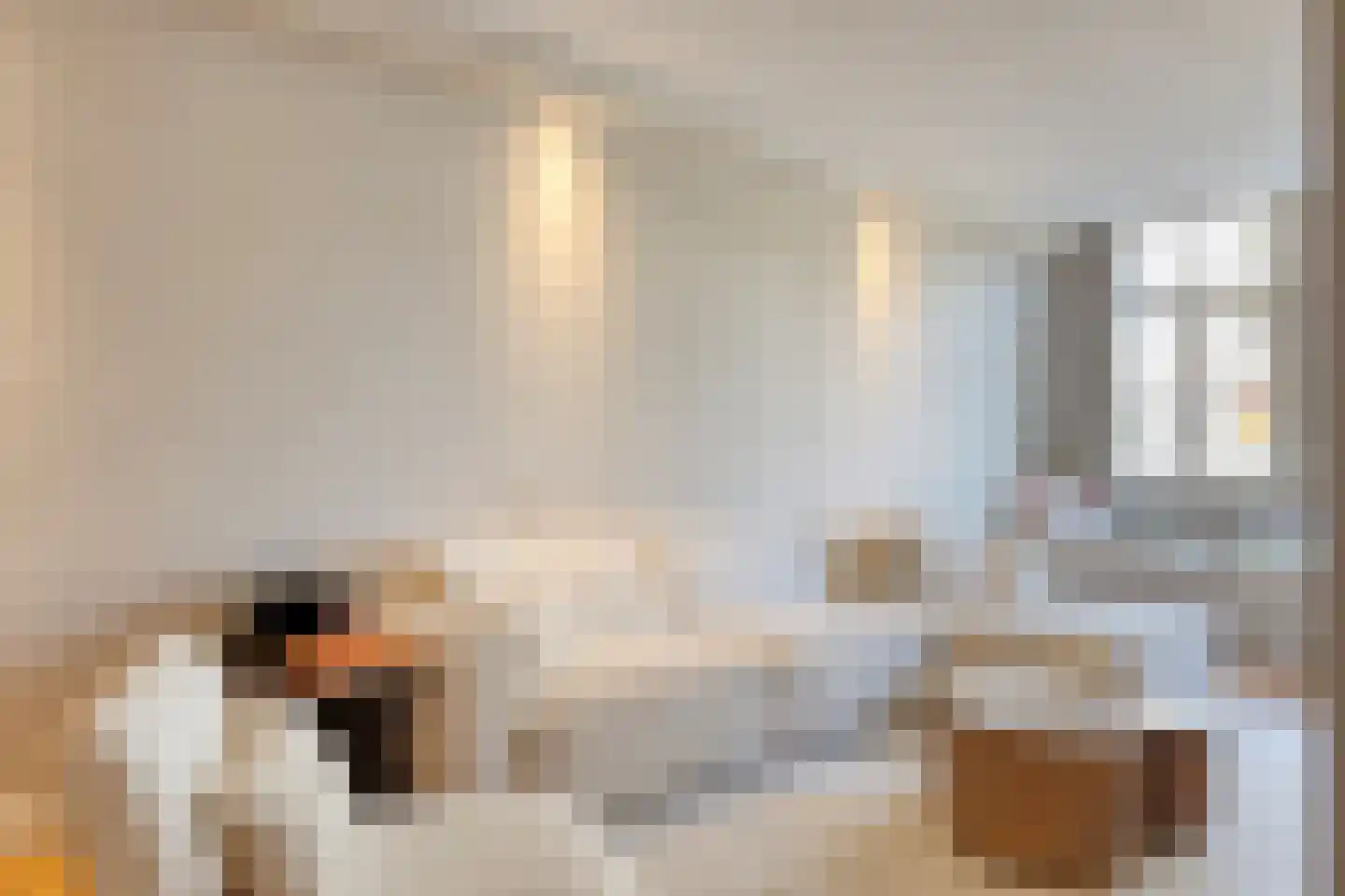 Luttik Oudorp 49 A Alkmaar thumbnail 11