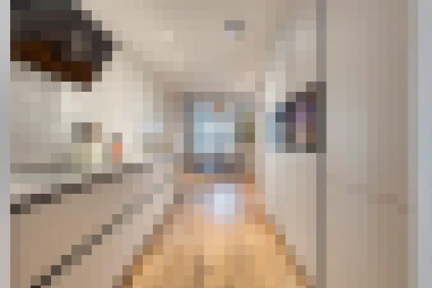 Luttik Oudorp 49 A Alkmaar thumbnail 21