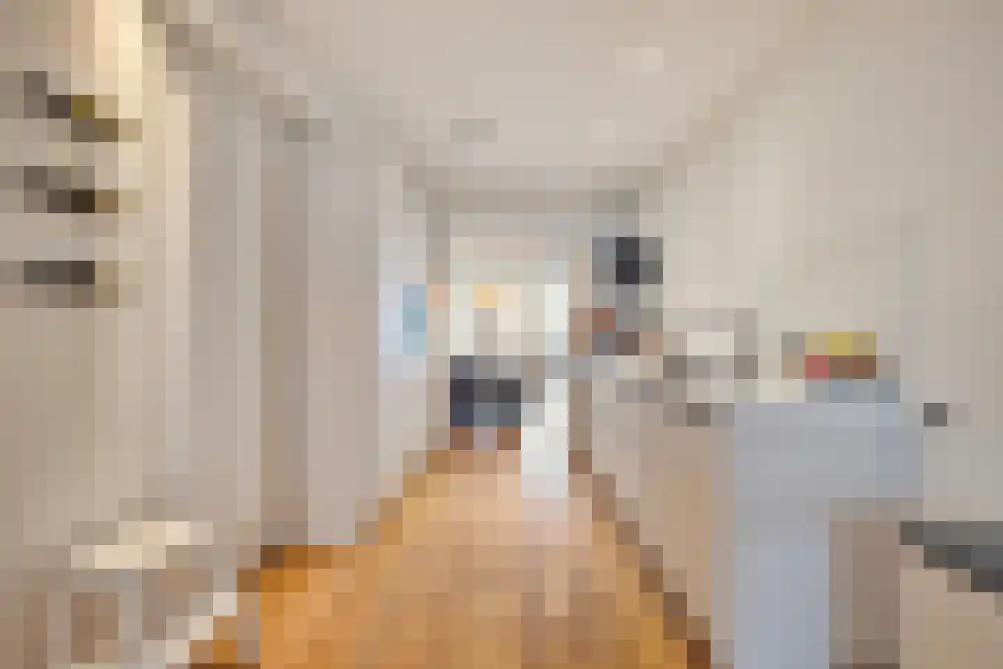 Luttik Oudorp 49 A Alkmaar thumbnail 23