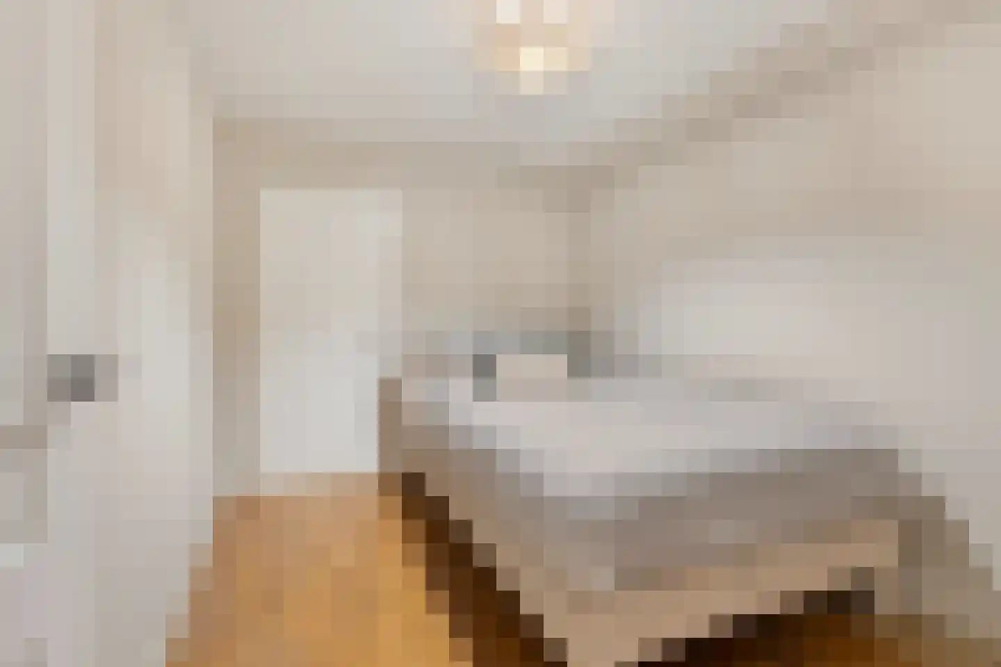 Luttik Oudorp 49 A Alkmaar thumbnail 40