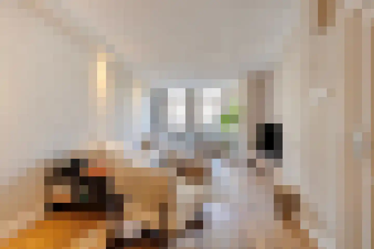 Luttik Oudorp 49 A Alkmaar thumbnail 9
