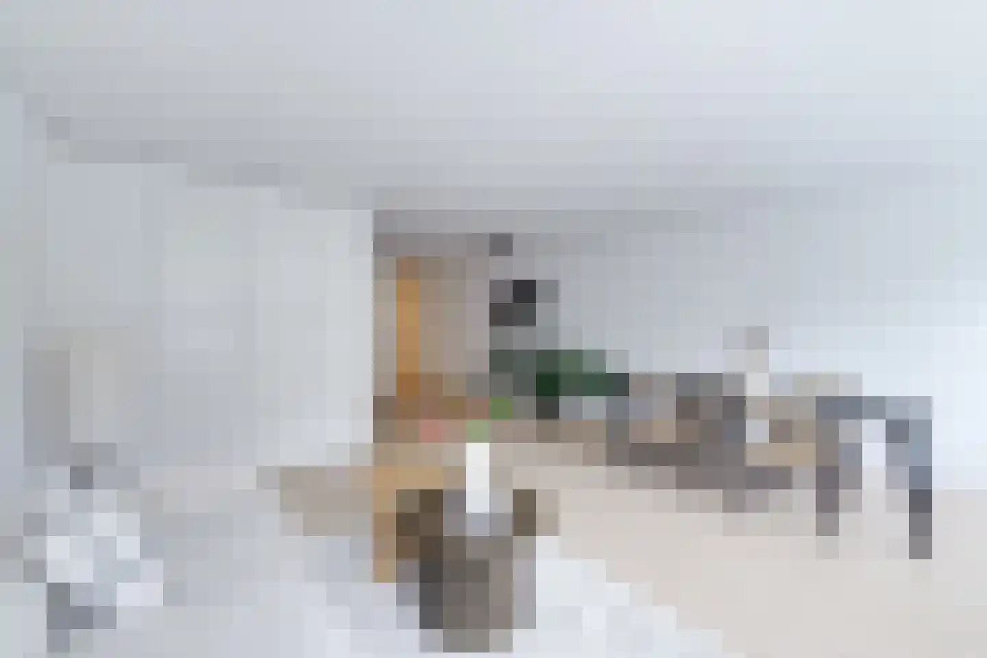 Luttik Oudorp 49 B Alkmaar thumbnail 13