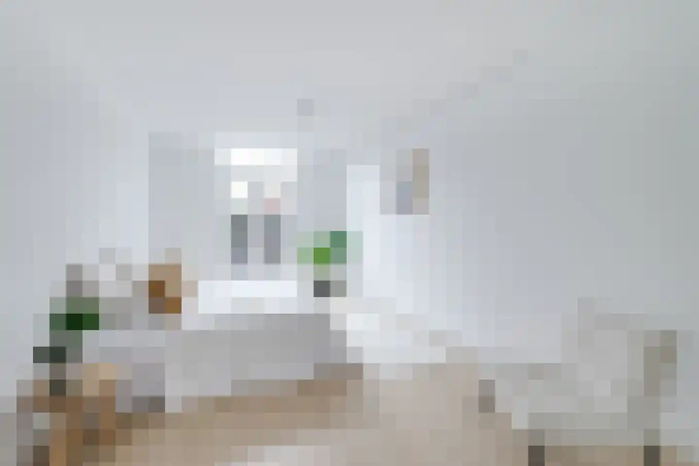 Luttik Oudorp 49 B Alkmaar thumbnail 24