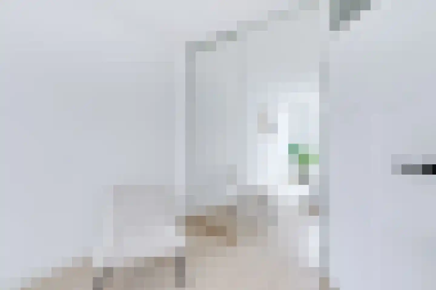 Luttik Oudorp 49 B Alkmaar thumbnail 27