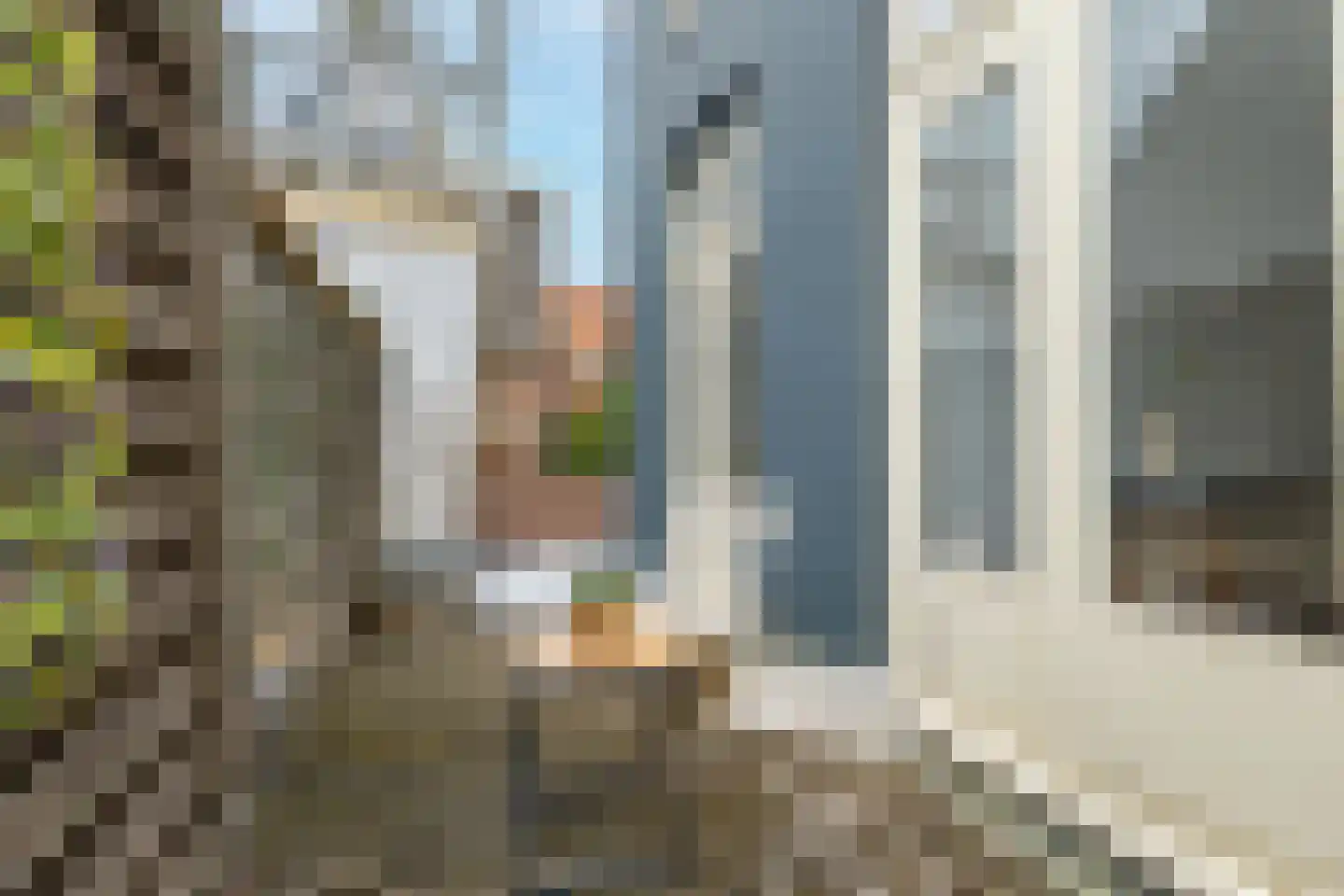 Luttik Oudorp 49 B Alkmaar thumbnail 39