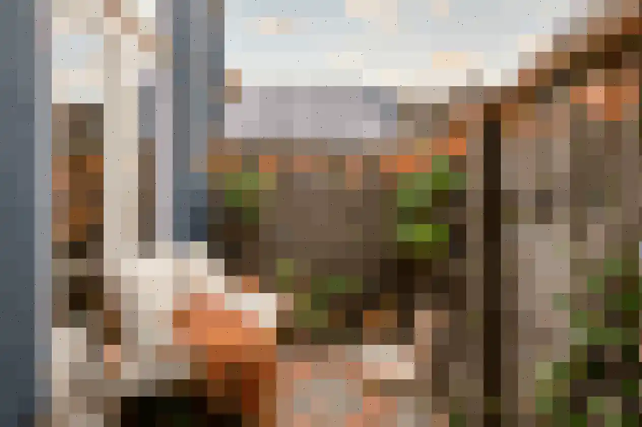 Luttik Oudorp 49 B Alkmaar thumbnail 4