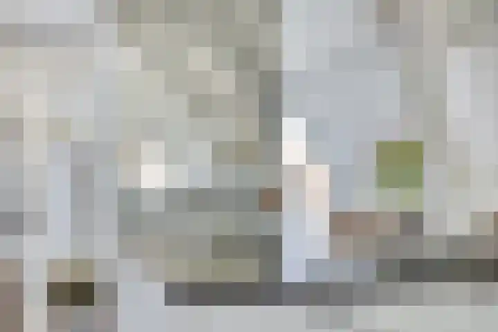Luttik Oudorp 49 D Alkmaar thumbnail 11
