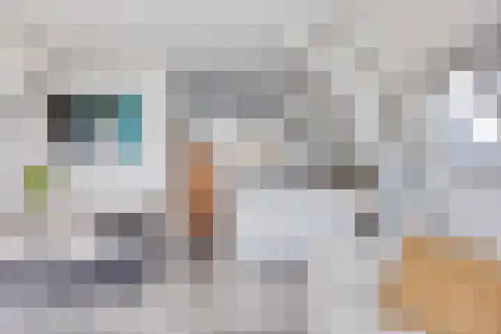 Luttik Oudorp 49 D Alkmaar thumbnail 13