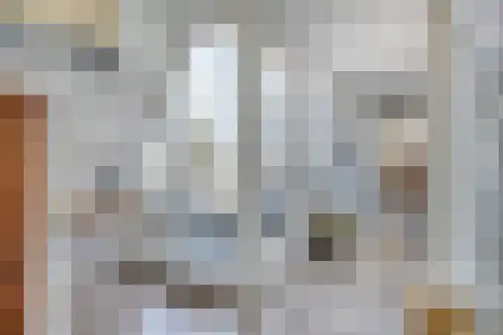 Luttik Oudorp 49 D Alkmaar thumbnail 16
