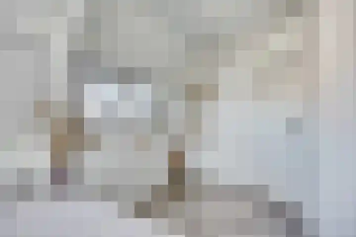 Luttik Oudorp 49 D Alkmaar thumbnail 18