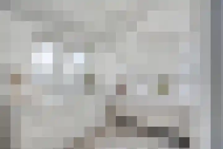 Luttik Oudorp 49 D Alkmaar thumbnail 19