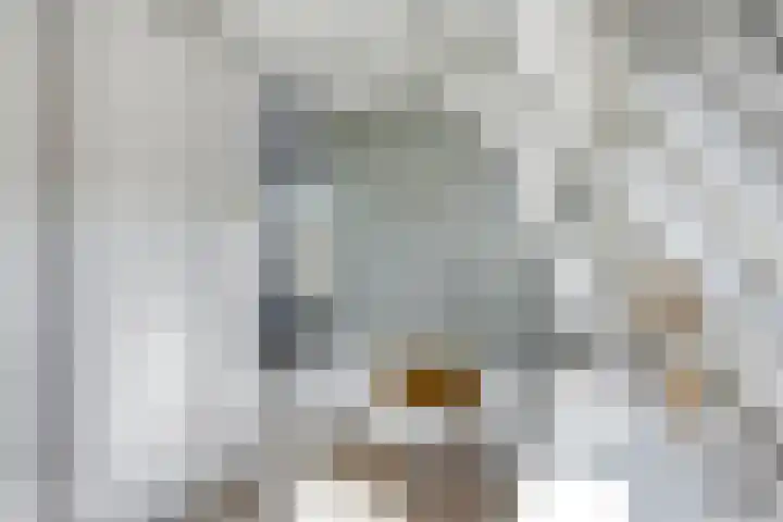 Luttik Oudorp 49 D Alkmaar thumbnail 21