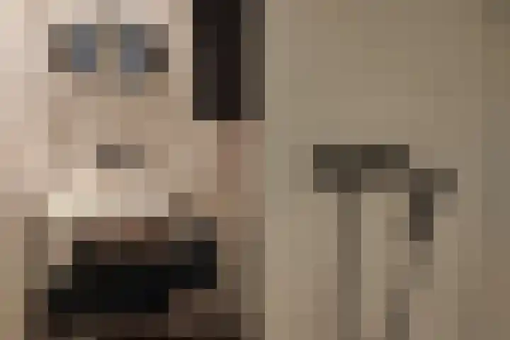 Luttik Oudorp 49 D Alkmaar thumbnail 25
