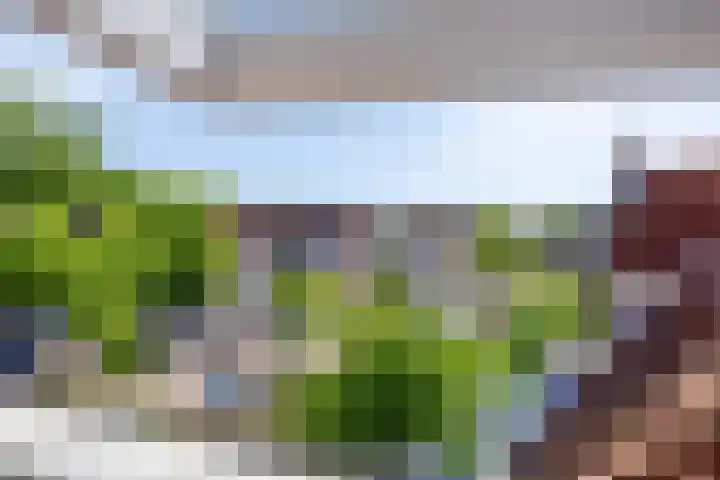 Luttik Oudorp 49 D Alkmaar thumbnail 28