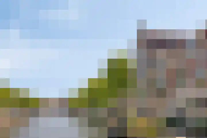 Luttik Oudorp 49 D Alkmaar thumbnail 29
