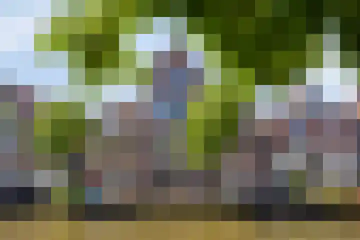 Luttik Oudorp 49 D Alkmaar thumbnail 30