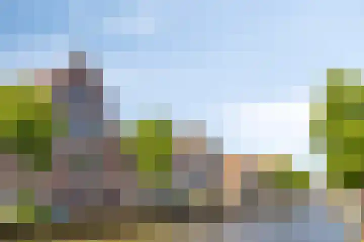 Luttik Oudorp 49 D Alkmaar thumbnail 31